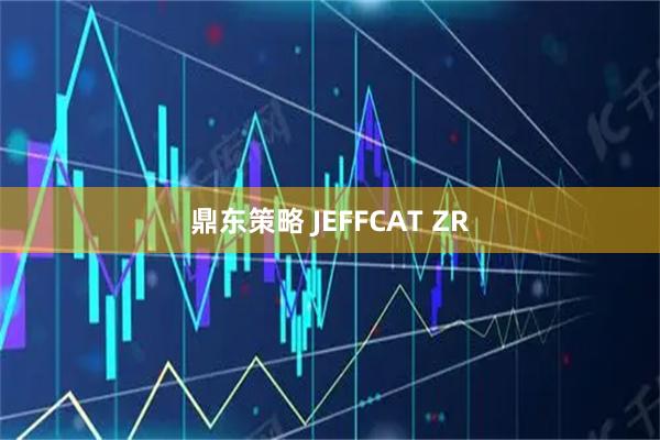 鼎东策略 JEFFCAT ZR
